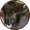 Small