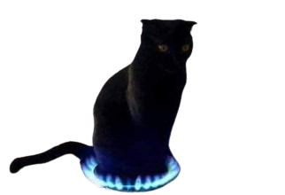 Medium