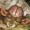 Small