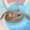 Small