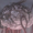 Small