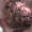 Small