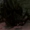 Small