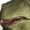 Small