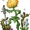 Small