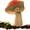 Small