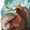 Small