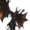 Small