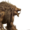 Small