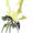 Small