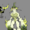 Small