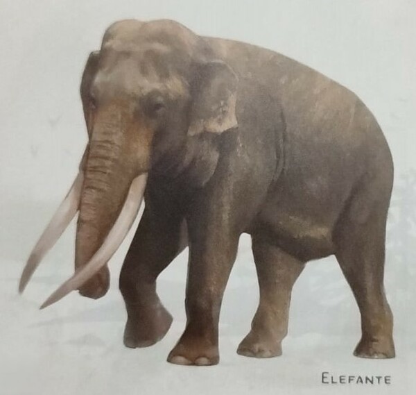 Medium