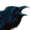Small