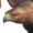 Small