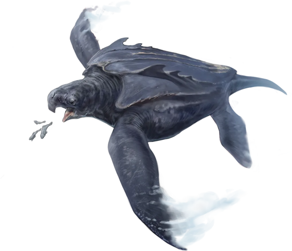 Medium