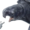 Small