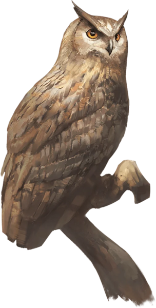 Medium