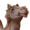 Small