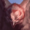 Small
