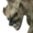 Small