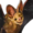 Small