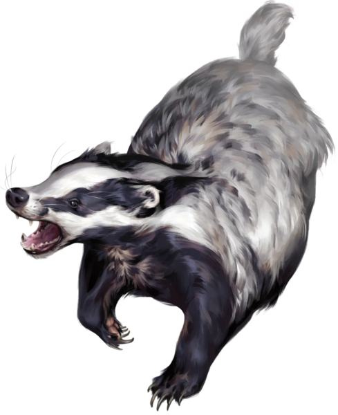 Medium