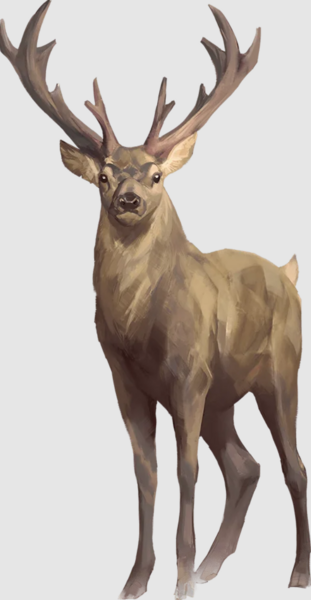 Medium