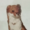 Small
