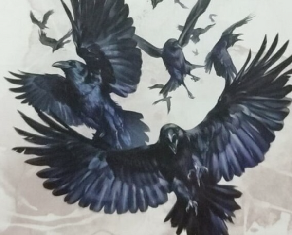 Medium
