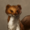 Small