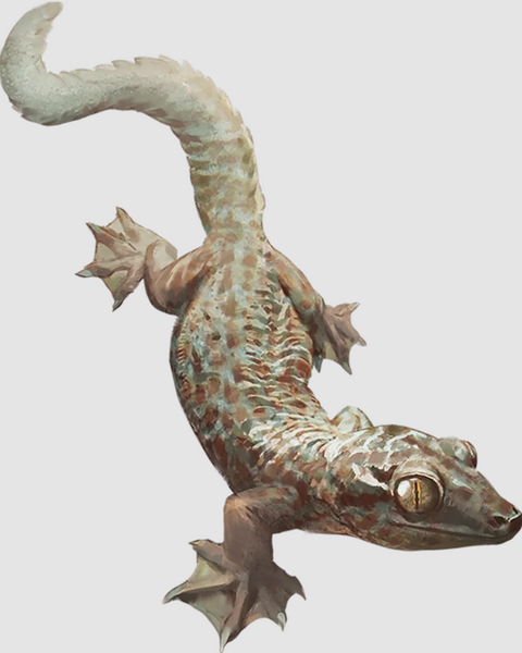 Medium