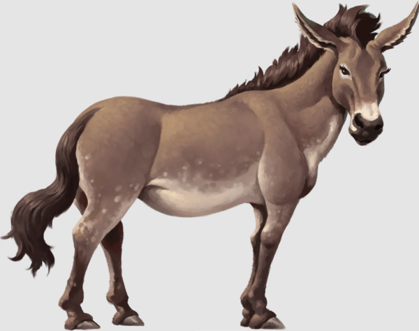 Medium