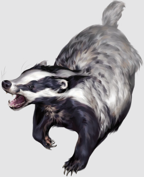 Medium