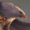 Small