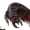 Small