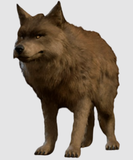 Medium
