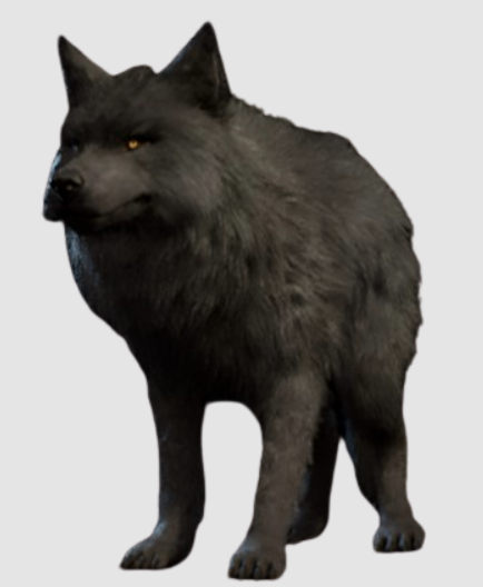 Medium