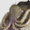 Small