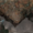 Small