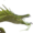 Small