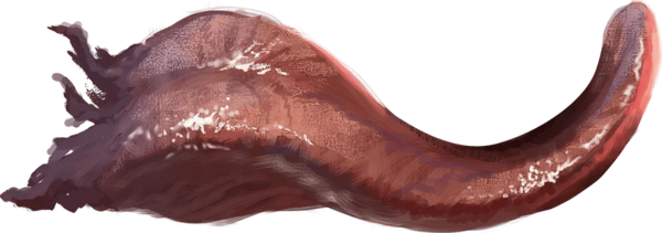 Medium