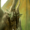 Small