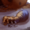Small