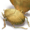 Small