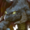 Small
