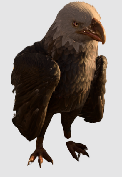 Medium