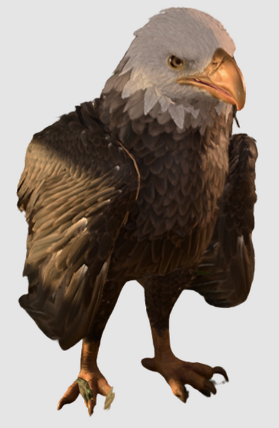 Medium
