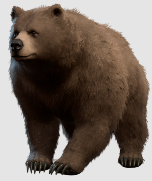Medium