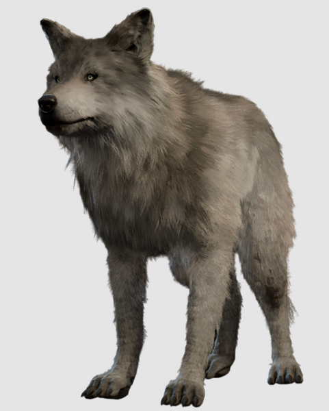 Medium