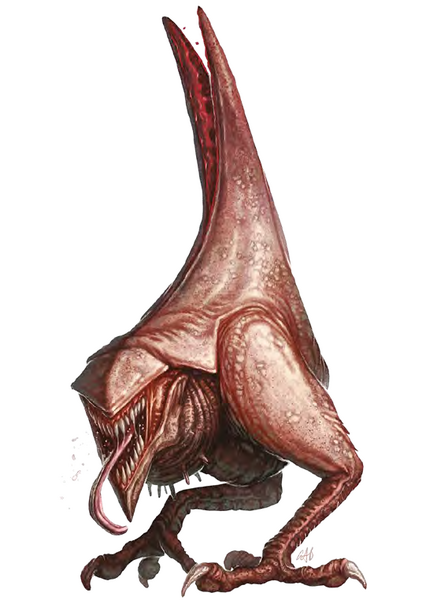 Medium